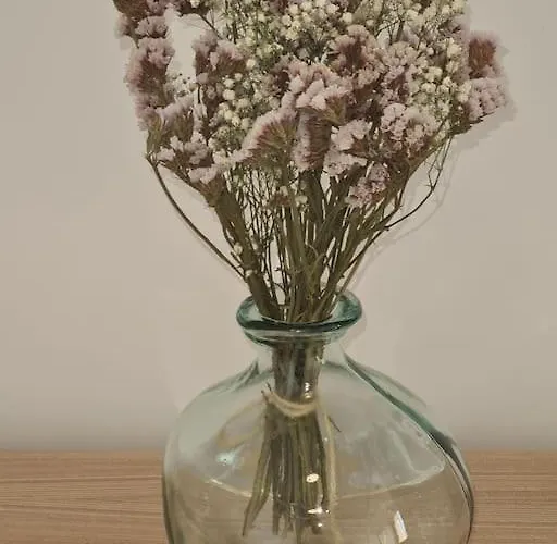 Carnon - Magnifique T2 - A 2 Min A Pied Apartment Mauguio